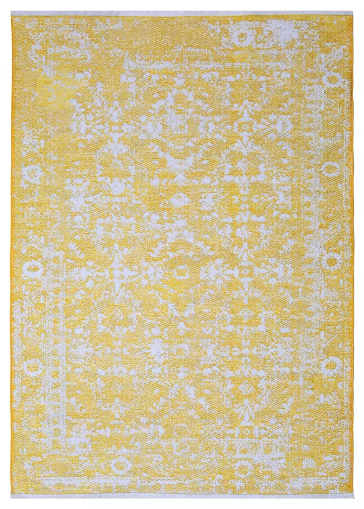 11380-SARI.jpg